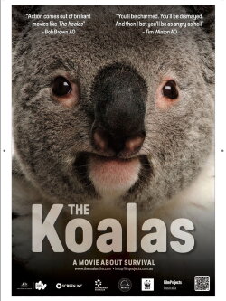 The Koalas (2024) The Koalas (2024)