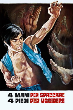 The Kung Fu Brothers (1973) The Kung Fu Brothers (1973)