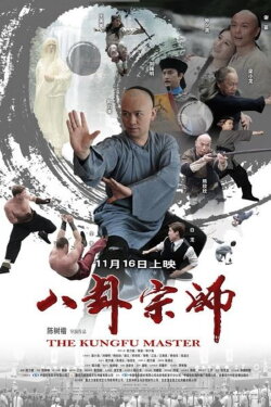 The Kung Fu Master (2012)