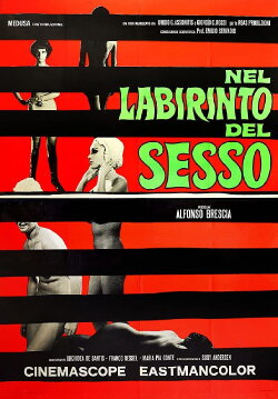 The Labyrinth of Sex (1969) The Labyrinth of Sex (1969)