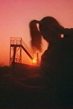 The Landroute Goes to the Bottom of Night (1985) The Landroute Goes to the Bottom of Night (1985)