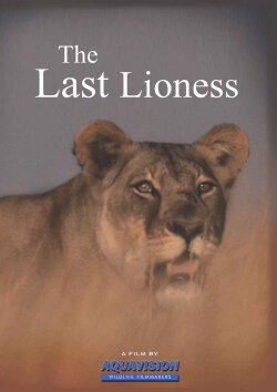 The Last Lioness (2009) The Last Lioness (2009)