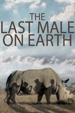 The Last Male on Earth (2019) The Last Male on Earth (2019)