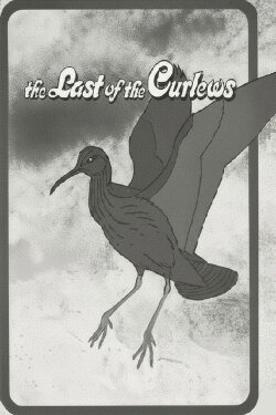The Last of the Curlews (1972) The Last of the Curlews (1972)