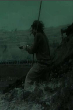 The last ones (2013) The last ones (2013)
