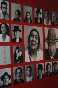 The Last Romani in Auschwitz (1994) The Last Romani in Auschwitz (1994)