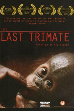 The Last Trimate (2008) The Last Trimate (2008)