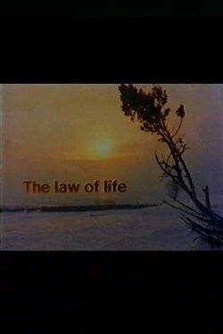The Law of Life (1977) The Law of Life (1977)