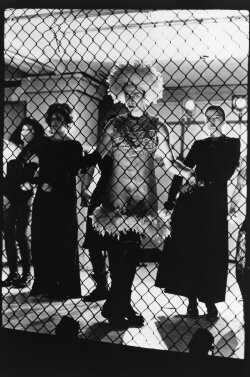 The Law of Remains (1992) The Law of Remains (1992)