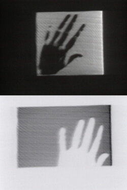 The Left Hand of Darkness (2019) The Left Hand of Darkness (2019)