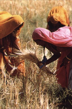 The Legacy of Malthus (1994) The Legacy of Malthus (1994)