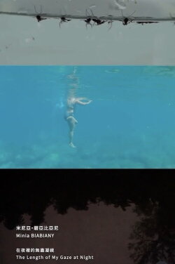 The Length of My Gaze at Night (2022) The Length of My Gaze at Night (2022)