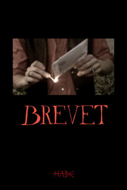 The Letter (2024)