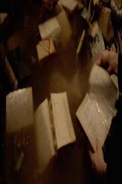 The Library of Water (2020) The Library of Water (2020)
