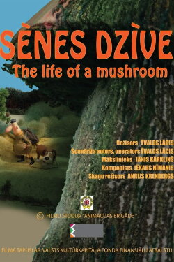 The Life of a Mushroom (2024)
