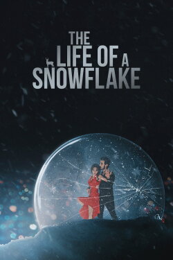 The Life of a Snowflake (2022) The Life of a Snowflake (2022)
