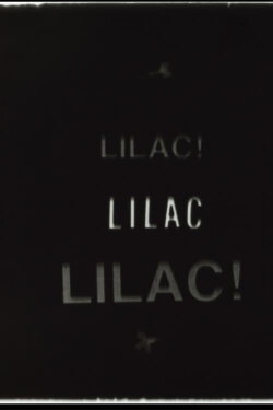 The Lilac Game (2019)