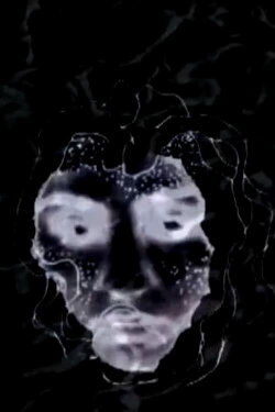 The Linear of Nightmare (2012) The Linear of Nightmare (2012)