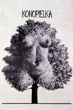 The Linnet (1982)