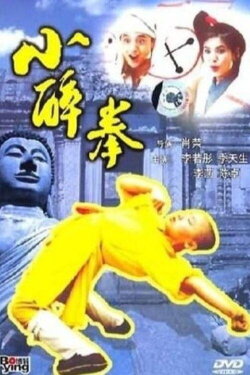 The Little Drunken Masters (1995) The Little Drunken Masters (1995)