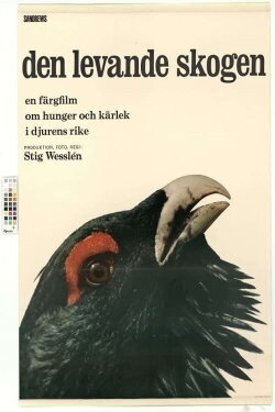 The Living Forest (1966) The Living Forest (1966)