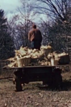 The Longhouse People (1951) The Longhouse People (1951)