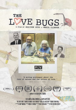 The Love Bugs (2019) The Love Bugs (2019)