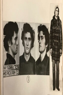 The Lust Killer (2013)