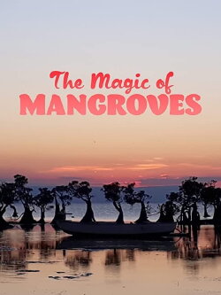 The Magic of Mangroves (2020)