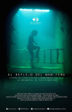 The Mammalian Reflex (2017) The Mammalian Reflex (2017)
