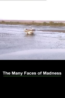 The Many Faces of Madness (2000) The Many Faces of Madness (2000)