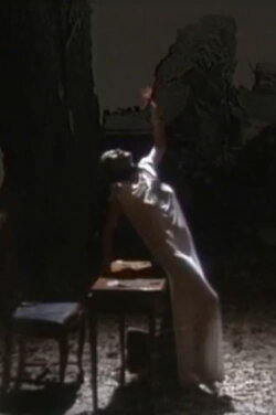 The Marquise of O. (1989) The Marquise of O. (1989)