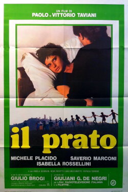 The Meadow (1979) The Meadow (1979)