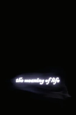 The Meaning of Life (2005) The Meaning of Life (2005)