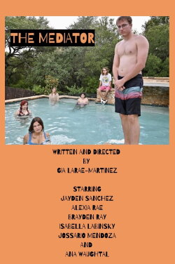 The Mediator (2024)
