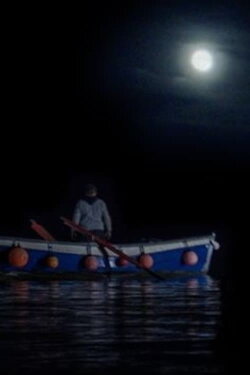 The Mermaid of Mevagissey (2019) The Mermaid of Mevagissey (2019)