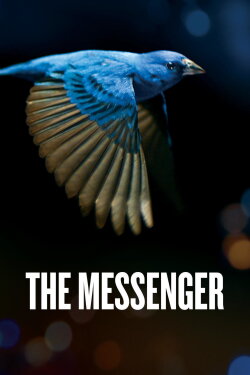 The Messenger (2015) The Messenger (2015)