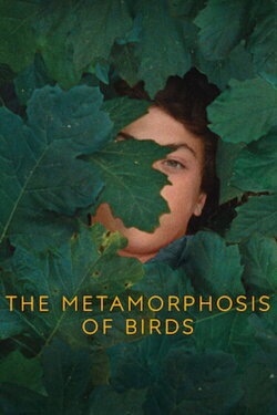 The Metamorphosis of Birds (2021) The Metamorphosis of Birds (2021)