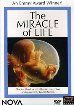 The Miracle of Life (1982) The Miracle of Life (1982)