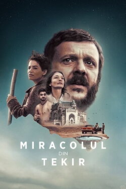 The Miracle of Tekir (2016) The Miracle of Tekir (2016)