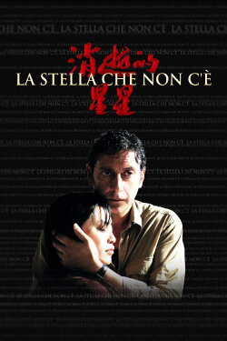 The Missing Star (2006)