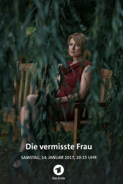 The Missing Woman (2016)