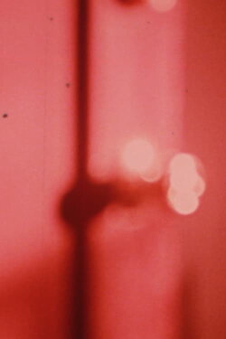 The Moieties (1978)
