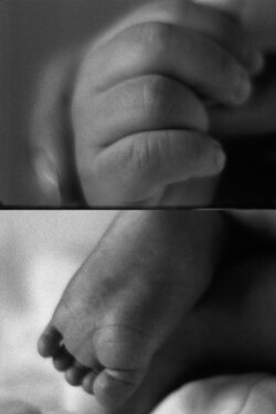 The Moment (2002)