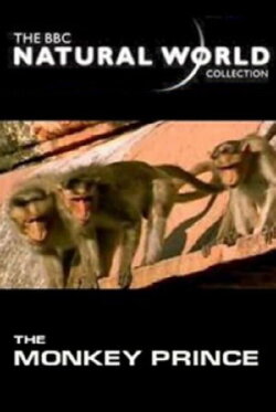 The Monkey Prince (2003) The Monkey Prince (2003)