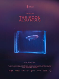 The Moon Also Rises (2024) The Moon Also Rises (2024)
