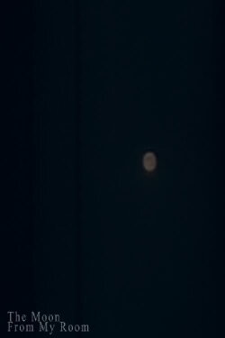 The Moon from My Room (2023) The Moon from My Room (2023)