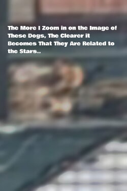 The More I Zoom in on the Image of These Dogs, The Clearer it Becomes That They Are Related to the Stars. (2025)