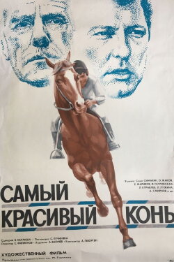The Most Beautiful Horse (1977)