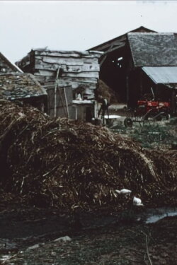The Mud House (1972)